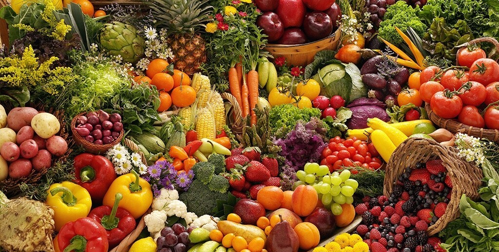 Sibel Çankaya - Yaşam Koçu Sibel Çankaya - Haberler